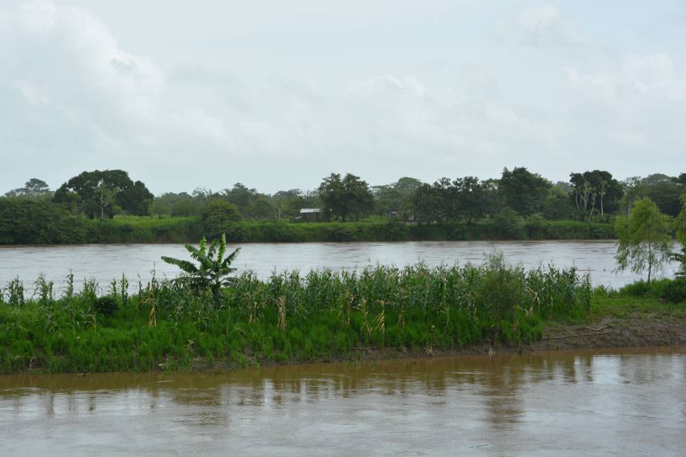 Río Coco, with view from right bank of Honduras.